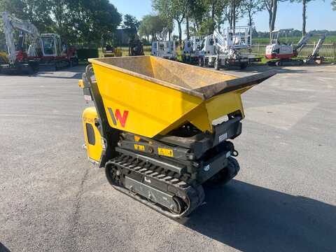 Huur een Neuson DT08 - Rupsdumper - Image #6