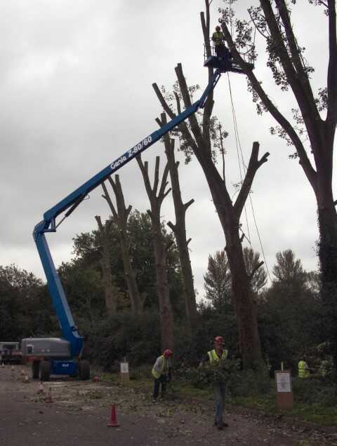 Koop een Genie Z80/60 - Ascenseur à flèche articulée au diesel - Image #2