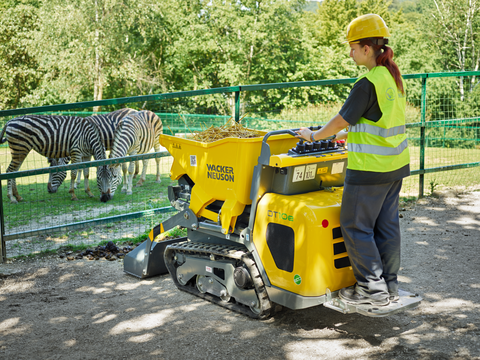 Koop een Neuson DT10e électrique - Dumper à chenille - Image #7