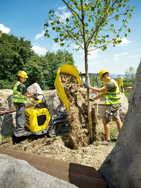 Koop een Neuson DT10 - Rupsdumper - Image #5