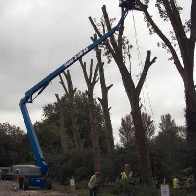 Koop een Genie Z80/60 - Ascenseur à flèche articulée au diesel - Image #2