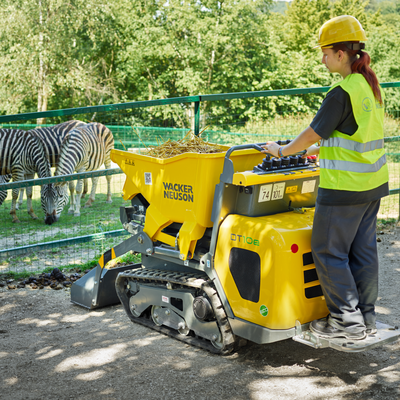 Koop een Neuson DT10e électrique - Dumper à chenille - Image #7