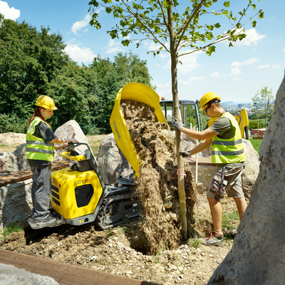 Koop een Neuson DT10 - Rupsdumper - Image #5